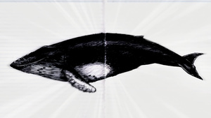 Saishuu Shiken Kujira